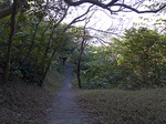 k_top_kudari_road.jpg