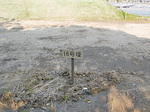 16_kui.jpg