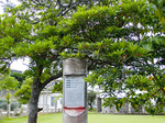 ijun_horutonoki.jpg