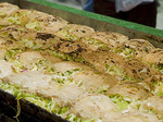 issenyoushokuyaki.jpg